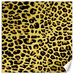 A Jaguar Fur Pattern Canvas 12  X 12   by Nexatart