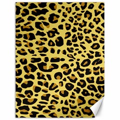 A Jaguar Fur Pattern Canvas 12  X 16   by Nexatart