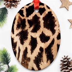 Yellow And Brown Spots On Giraffe Skin Texture Ornament (oval) by Nexatart