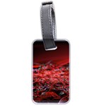 Red Fractal Valley In 3d Glass Frame Luggage Tags (Two Sides) Front