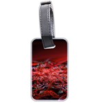 Red Fractal Valley In 3d Glass Frame Luggage Tags (Two Sides) Back