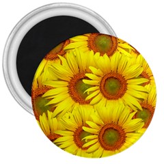 Sunflowers Background Wallpaper Pattern 3  Magnets by Nexatart