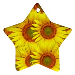 Sunflowers Background Wallpaper Pattern Ornament (star) by Nexatart