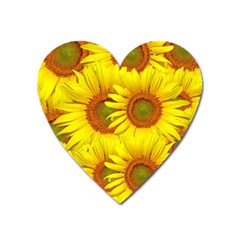 Sunflowers Background Wallpaper Pattern Heart Magnet by Nexatart