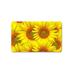 Sunflowers Background Wallpaper Pattern Magnet (name Card) by Nexatart