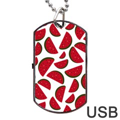 Fruit Watermelon Seamless Pattern Dog Tag Usb Flash (two Sides) by Nexatart