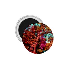 Abstract Fall Trees Saturated With Orange Pink And Turquoise 1 75  Magnets by Nexatart