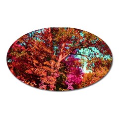 Abstract Fall Trees Saturated With Orange Pink And Turquoise Oval Magnet by Nexatart