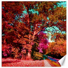 Abstract Fall Trees Saturated With Orange Pink And Turquoise Canvas 20  X 20   by Nexatart