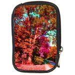 Abstract Fall Trees Saturated With Orange Pink And Turquoise Compact Camera Cases Front