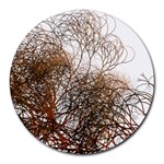 Digitally Painted Colourful Winter Branches Illustration Round Mousepads Front