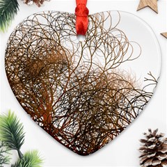 Digitally Painted Colourful Winter Branches Illustration Ornament (heart) by Nexatart