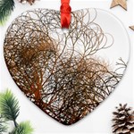 Digitally Painted Colourful Winter Branches Illustration Ornament (Heart) Front