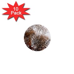 Digitally Painted Colourful Winter Branches Illustration 1  Mini Buttons (10 Pack)  by Nexatart