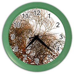 Digitally Painted Colourful Winter Branches Illustration Color Wall Clocks by Nexatart