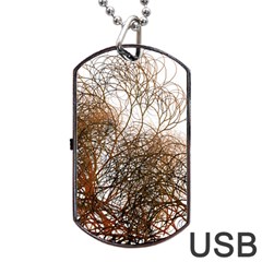 Digitally Painted Colourful Winter Branches Illustration Dog Tag Usb Flash (one Side) by Nexatart