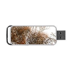 Digitally Painted Colourful Winter Branches Illustration Portable Usb Flash (two Sides) by Nexatart