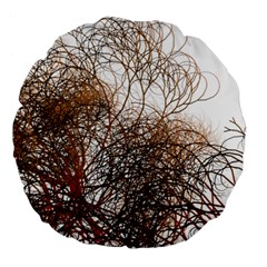 Digitally Painted Colourful Winter Branches Illustration Large 18  Premium Round Cushions by Nexatart