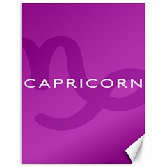 Zodiac Capricorn Purple Canvas 12  X 16   by Mariart