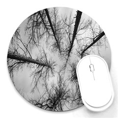 Trees Without Leaves Round Mousepads by Nexatart