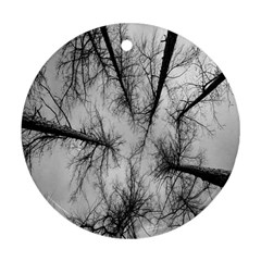 Trees Without Leaves Ornament (round) by Nexatart