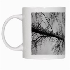 Trees Without Leaves White Mugs by Nexatart