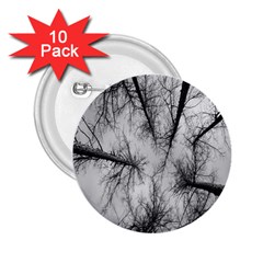 Trees Without Leaves 2 25  Buttons (10 Pack)  by Nexatart