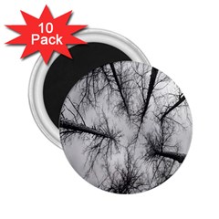 Trees Without Leaves 2 25  Magnets (10 Pack)  by Nexatart