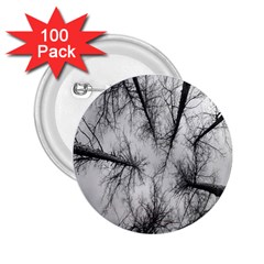 Trees Without Leaves 2 25  Buttons (100 Pack)  by Nexatart