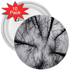 Trees Without Leaves 3  Buttons (10 Pack)  by Nexatart