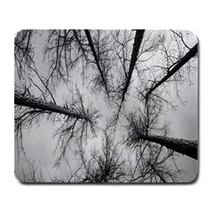 Trees Without Leaves Large Mousepads by Nexatart