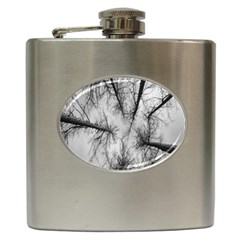 Trees Without Leaves Hip Flask (6 Oz) by Nexatart