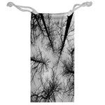 Trees Without Leaves Jewelry Bag Back