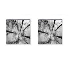 Trees Without Leaves Cufflinks (square) by Nexatart