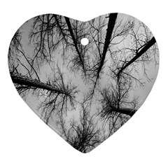 Trees Without Leaves Heart Ornament (two Sides) by Nexatart