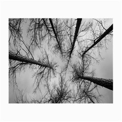 Trees Without Leaves Small Glasses Cloth (2-side) by Nexatart