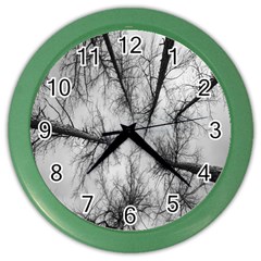 Trees Without Leaves Color Wall Clocks by Nexatart