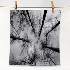 Trees Without Leaves Face Towel by Nexatart