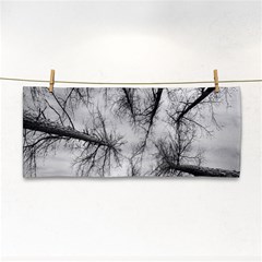 Trees Without Leaves Cosmetic Storage Cases by Nexatart