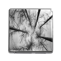 Trees Without Leaves Memory Card Reader (square) by Nexatart