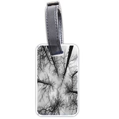 Trees Without Leaves Luggage Tags (one Side)  by Nexatart