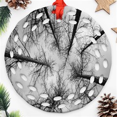 Trees Without Leaves Ornament (round Filigree) by Nexatart