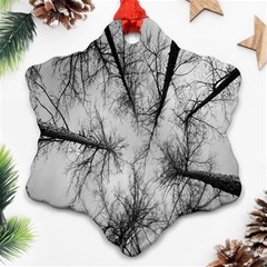 Trees Without Leaves Ornament (snowflake) by Nexatart