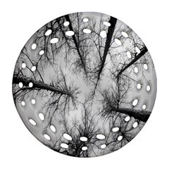 Trees Without Leaves Round Filigree Ornament (two Sides) by Nexatart