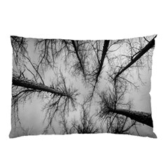 Trees Without Leaves Pillow Case (two Sides) by Nexatart