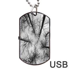 Trees Without Leaves Dog Tag Usb Flash (one Side) by Nexatart