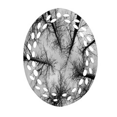 Trees Without Leaves Ornament (oval Filigree) by Nexatart