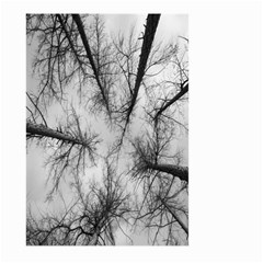 Trees Without Leaves Large Garden Flag (two Sides) by Nexatart