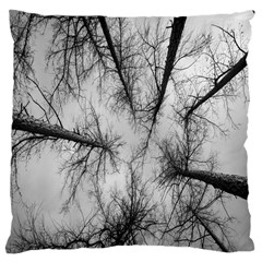 Trees Without Leaves Large Cushion Case (one Side) by Nexatart