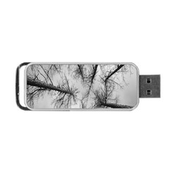 Trees Without Leaves Portable Usb Flash (one Side) by Nexatart